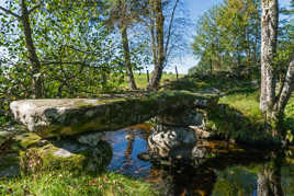 Pont planche