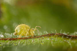 Les boules sont installées!