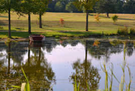 Rêverie au bord de l'eau