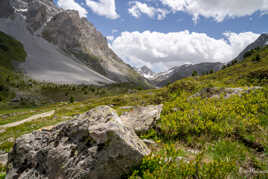 Printemps montagnard