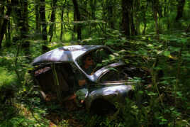 Abandonnée, mais 1 amateur