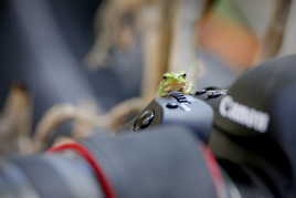 D'abord, je fais mes réglages...