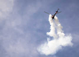 mouche à insecticide