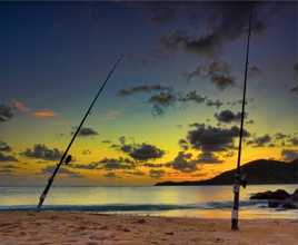 les cannes à pêche
