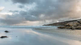 Douceurs d'une matinée hivernale