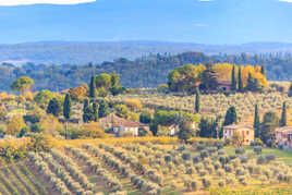 tableau de toscane