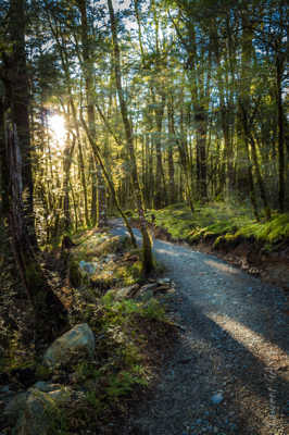 Routeburn natural walk