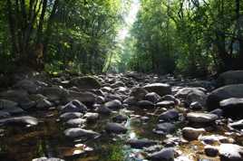La rivière de cailloux