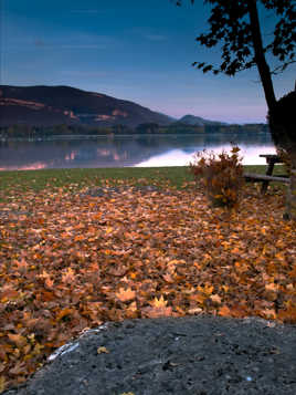 l'automne au bord du Rhone