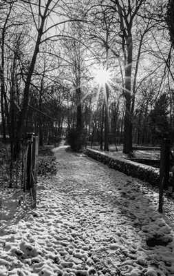 j'éclaire ton chemin NB