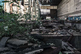 Reprendre ses droits