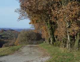 balade à la  campagne