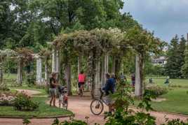 En vélo sous les roses