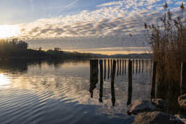 Bord de lac