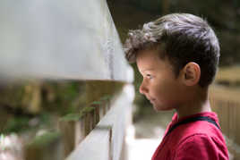 Mais qu'est ce que tu regardes ?