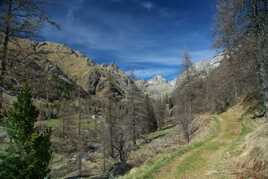 Ici, loin des humains !…