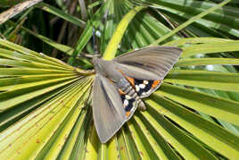pas temp d aller voir la mer
