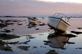 Plounéour-Trez au lever du jour