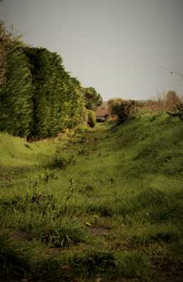 Le chemin vert