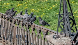 envol dans quel sens ??