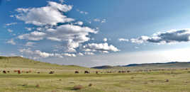 Paysage Mongole
