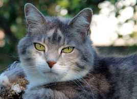 T'as d'beaux yeux tu sais !