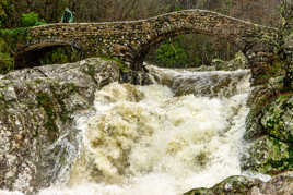 Tumulte sous le petit pont