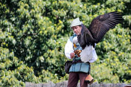 Le bal des oiseaux fantomes