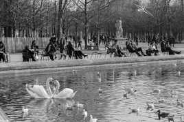Dragouille au Luxembourg
