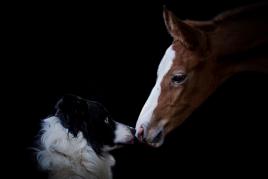 Pause tendresse