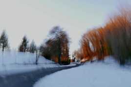 Neige: danse avec les arbres!