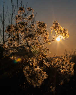 tôt le matin