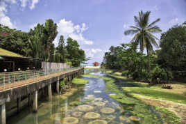 Ma cabane au fond du jardin