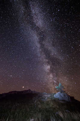 Pousser sous les étoiles