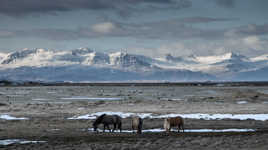 Islande