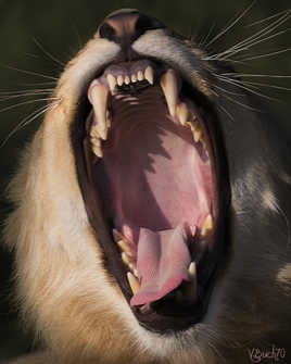 dites : ahhhhhhhhhhhhh !!!