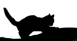 Boulanger le canapé