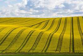 ondulations de printemps