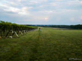 Seul, mais vers où?