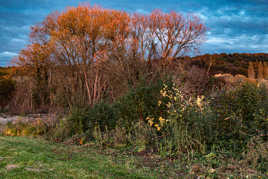 la nuit va tomber rapidement