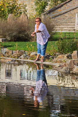 Le repas des poissons