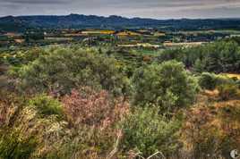 Campagne provençale