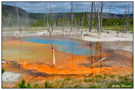 Beauté empoisonée!