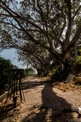 Promenade de l'Etang