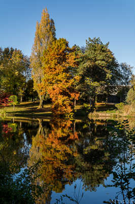 Reflets et couleurs d'Automne