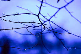 Guirlandes et lampions