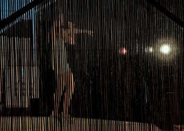 Cabaret en plein air (7)