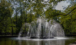 Le soleil Peterhof St-Petersbourg