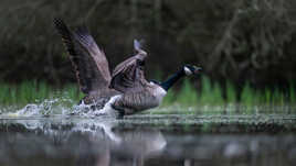 Décollage synchronisé