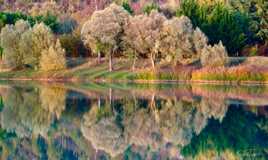 Novembre au bord du lac